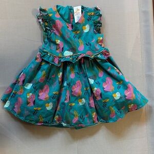 Disney Teal and Pink Elsa Anna Frozen Floral sleeves party dress sz 4